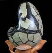 Septarian Dragon Egg Geode - Black Crystals #71989-3